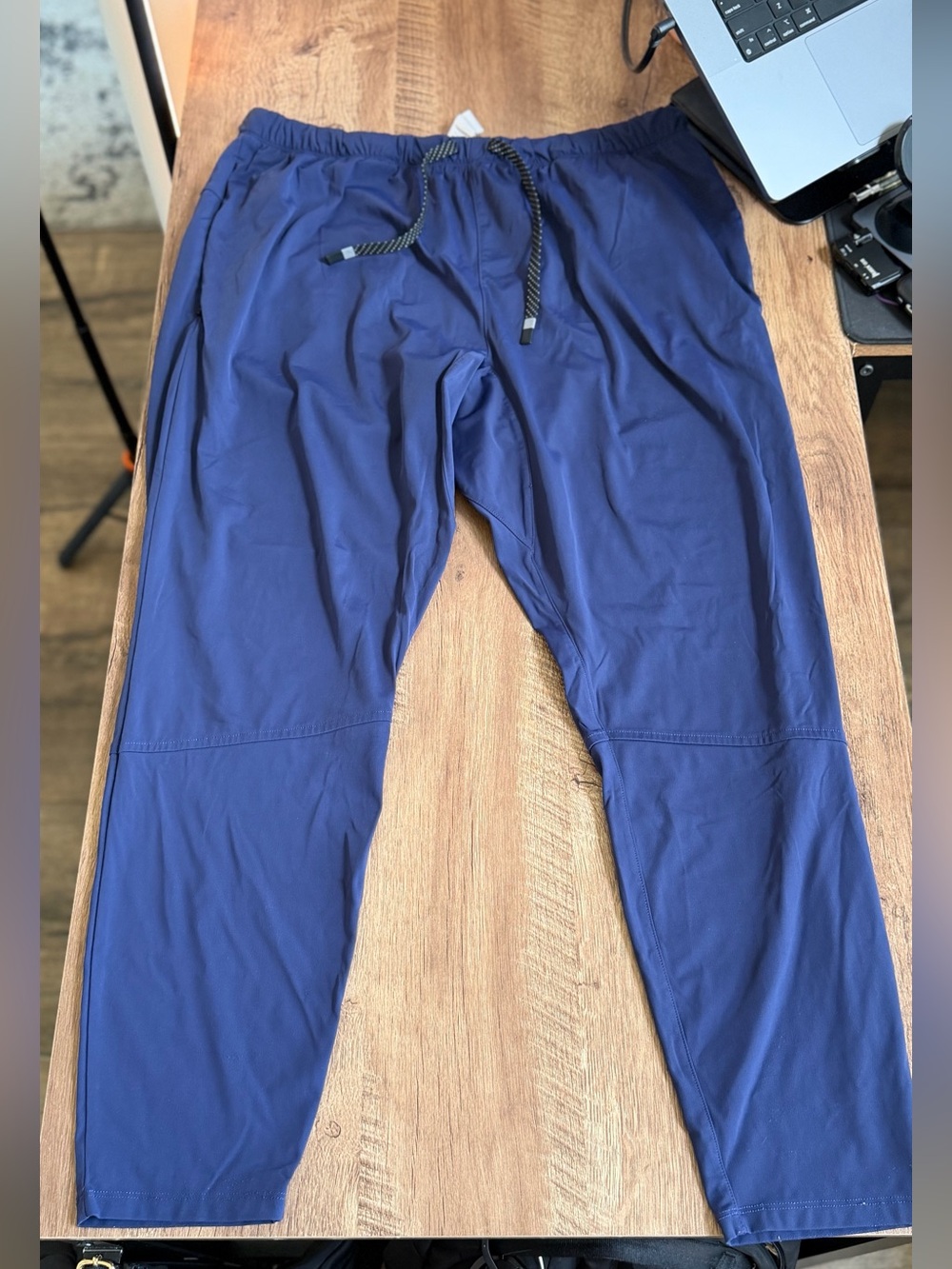 Fabletics Take Over Pant Jogger Blue XL